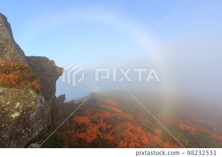Iwate Hachimantai _ Superb view of white rainbow and autumn leaves on Mt.Mitsuishi 98232531