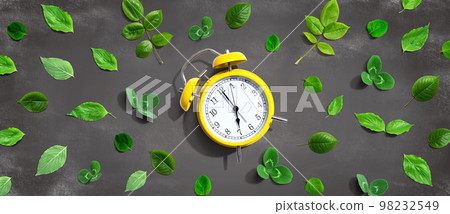Yellow vintage alarm clock with green leaves Yellow vintage alarm clock with green leaves 98232549