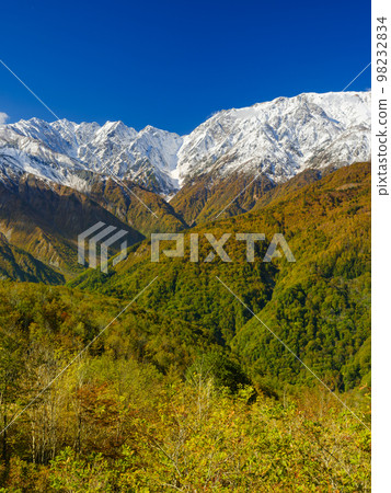 Nagano _ Hakuba Three Stages of Autumn Leaves Nagano _ Hakuba Three Stages of Autumn Leaves 98232834