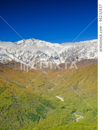 Nagano _ Hakuba Three Stages of Autumn Leaves 98232837