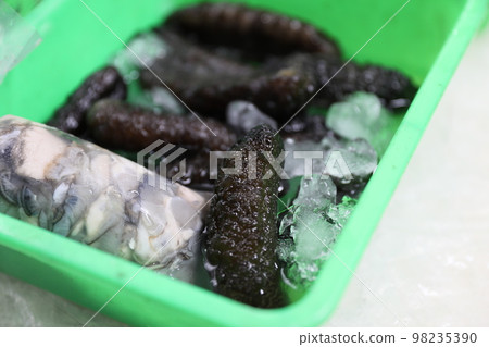 海參 98235390