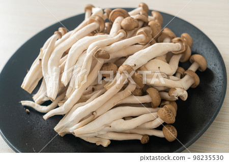 fresh brown beech mushroom or black reishi mushroom 98235530