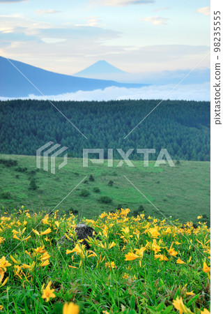 Nikko Kisuge Kagamine Peak Plateau in Nagano Prefecture Nikko Kisuge Kagamine Peak Plateau in Nagano Prefecture 98235555