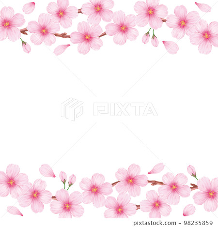 Spring beautiful cherry blossom white back frame background material Spring beautiful cherry blossom white back frame background material 98235859