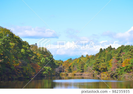 秋天的湖泊和森林 98235935