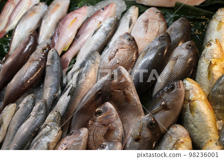 魚販 魚販 98236001