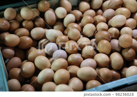 egg 98236028