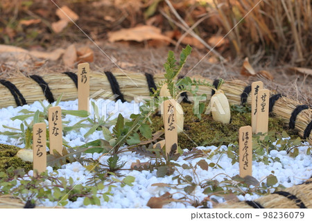 Group planting of seven spring herbs rice porridge with wild herbs Group planting of seven spring herbs rice porridge with wild herbs 98236079