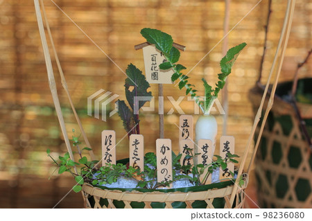 Group planting of seven spring herbs rice porridge with wild herbs Group planting of seven spring herbs rice porridge with wild herbs 98236080