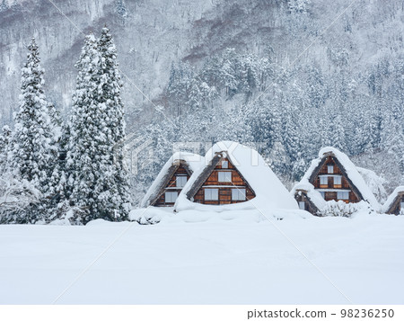 岐阜_世界遺產白川鄉大雪紛飛 98236250