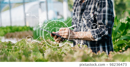Asian farmer using digital tablet inspecting fresh vegetable in organic farm. Agriculture technology and smart farming concept.. 98236473