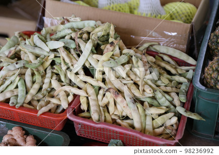 毛豆 毛豆 98236992