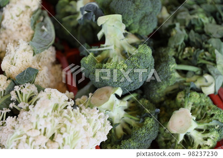 花椰菜 98237230