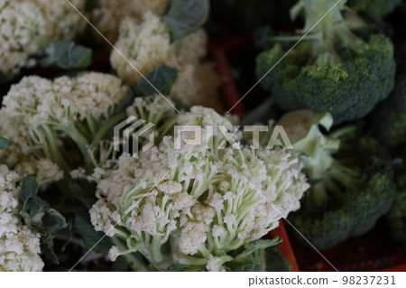 花椰菜 花椰菜 98237231