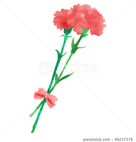Mother's Day gift watercolor illustration of a bouquet of carnations 98237378