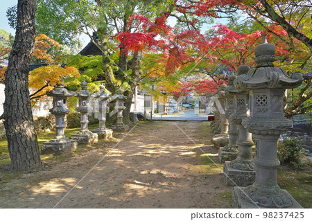 [Buttsuji Temple (autumn leaves)] Takasaka Town, Mihara City, Hiroshima Prefecture 98237425