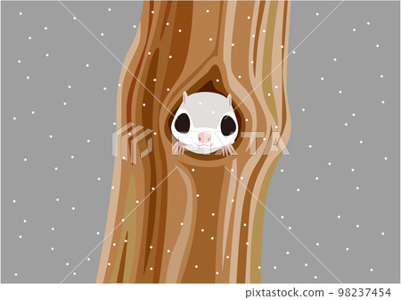 蝦夷飛鼠07洞雪 蝦夷飛鼠07洞雪 98237454