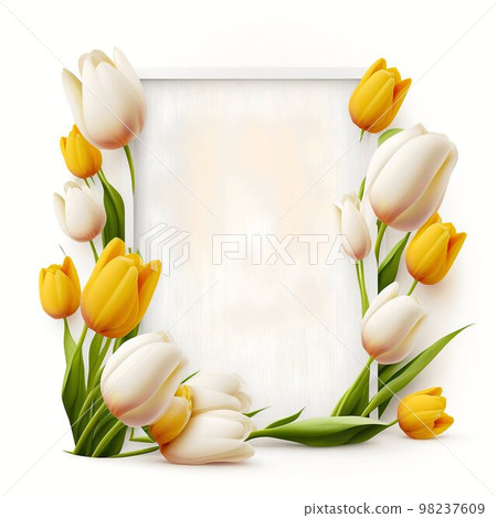 Tulips woman's day eighth march isolated on white background Tulips woman's day eighth march isolated on white background 98237609