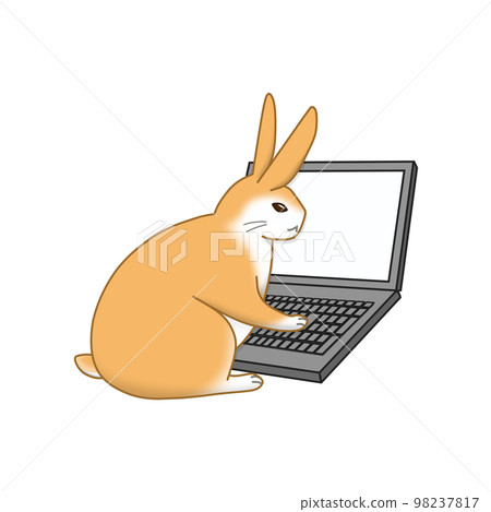 A rabbit touching a laptop keyboard A rabbit touching a laptop keyboard 98237817