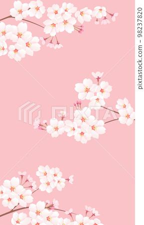Cherry branch Cherry branch 98237820