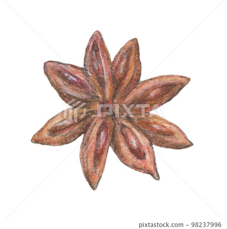 Star anise watercolor pencil spice illustration 98237996