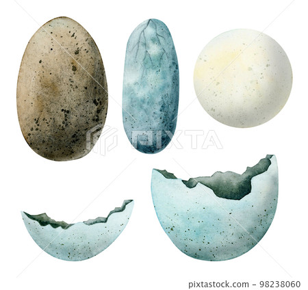 Set of different dinosaur eggs. Watercolor illustration of tyrannosaurus, diplodocus eggs isolated on white background 98238060