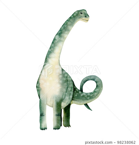 Watercolor brachiosaurus green dinosaur. Hand drawn illustration of Jurassic ancient animal isolated on white background 98238062