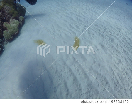 nice sandy beach in japan nice sandy beach in japan 98238152