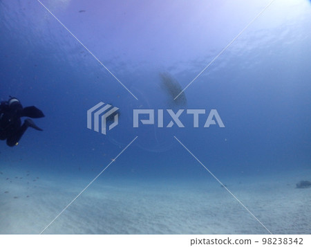 nice sandy beach in japan nice sandy beach in japan 98238342