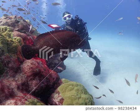 海上森林 98238434