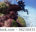 海上森林 98238435
