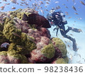 海上森林 98238436