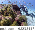 海上森林 98238437