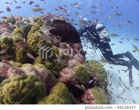 海上森林 98238437