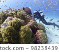 海上森林 98238439