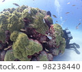 海上森林 98238440