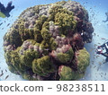 海上森林 98238511