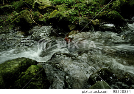 流水流量 流水流量 98238884