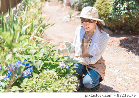 Gardening, gardening, kitchen garden, landscaping woman in the garden of the house (gardener, watering, exterior) Gardening, gardening, kitchen garden, landscaping woman in the garden of the house (gardener, watering, exterior) 98239179