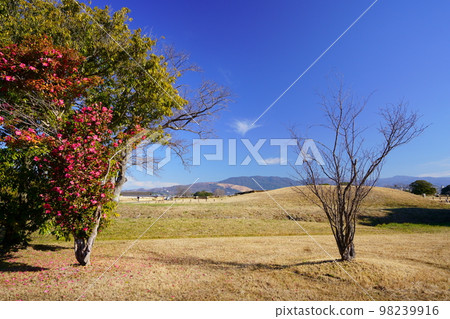 A view of Mt. Wakakusa and Todaiji Temple from the vicinity of the Heijo Palace Ruins and the Second Daigokuden A view of Mt. Wakakusa and Todaiji Temple from the vicinity of the Heijo Palace Ruins and the Second Daigokuden 98239916