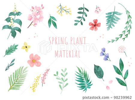 春季植物矢量圖素材(植物學) 春季植物矢量圖素材(植物學) 98239962