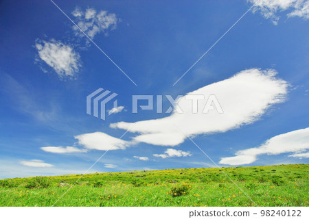 長野縣的Nikko Kisuge Kagamine Peak Plateau 98240122