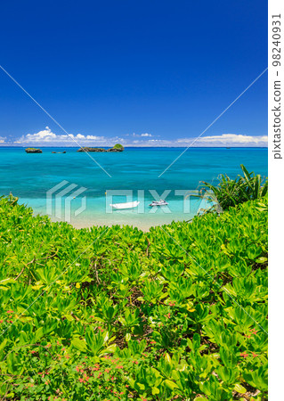 Okinawa _ fine weather and superb view of the beach 98240931