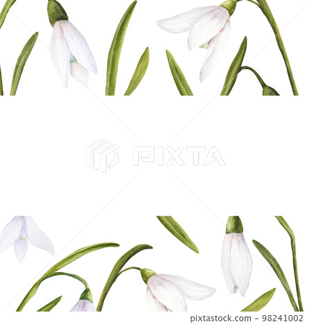 Watercolor easter illustration of bouquet of snowdrops, rectangular frame on white background 98241002