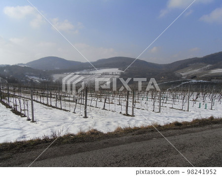 The scenery of Vienna Wiener Landschaft The scenery of Vienna Wiener Landschaft 98241952