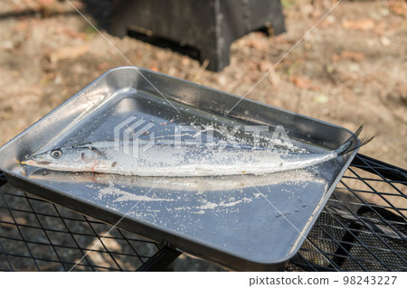 [Make saury grilled with salt at the auto campsite] 98243227
