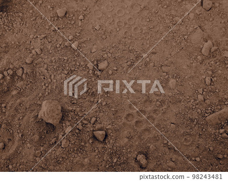 footprints on the ground 98243481