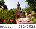 cat sleeping in a temple 98243522