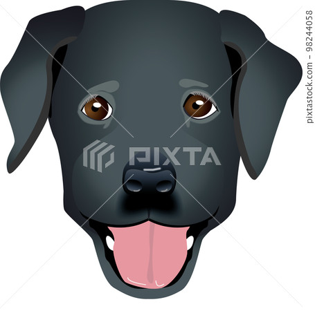 dog - black labrador face 98244058