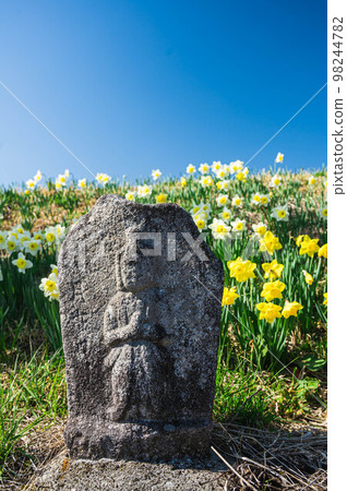 盛開的水仙花前的石佛 98244782